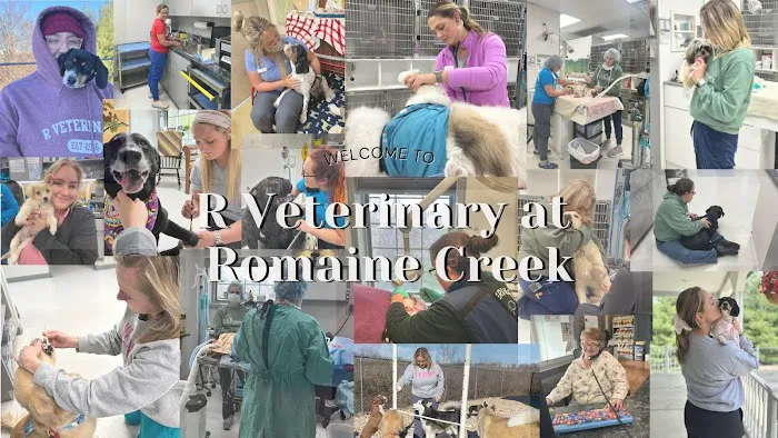 R Veterinary at Romaine Creek 1