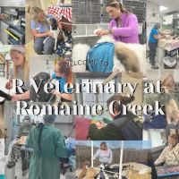 R Veterinary at Romaine Creek ico