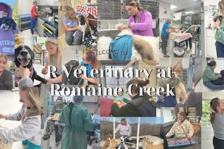 R Veterinary at Romaine Creek