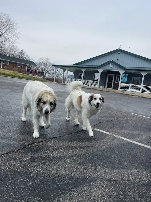 R Veterinary at Romaine Creek 6
