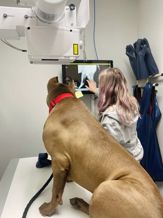 R Veterinary at Romaine Creek 7