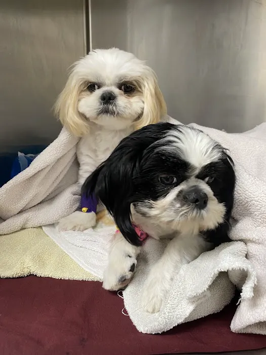 R Veterinary at Romaine Creek 8