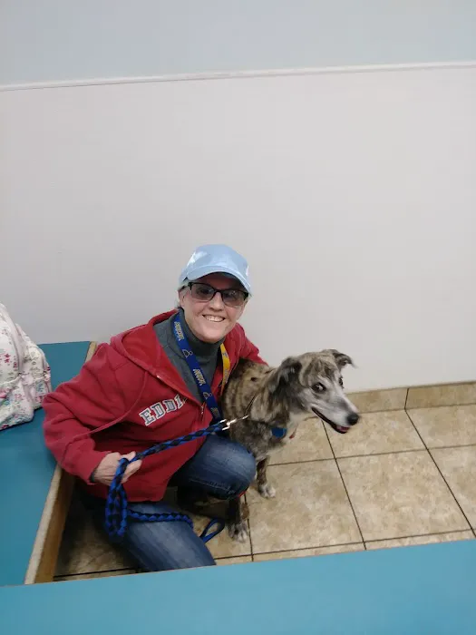 Arnold Animal Hospital 12
