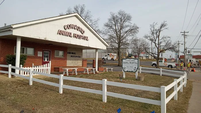 Concord Animal Hospital 12
