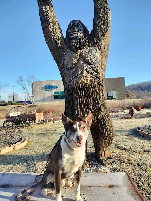 Ivan Animal Hospital 12