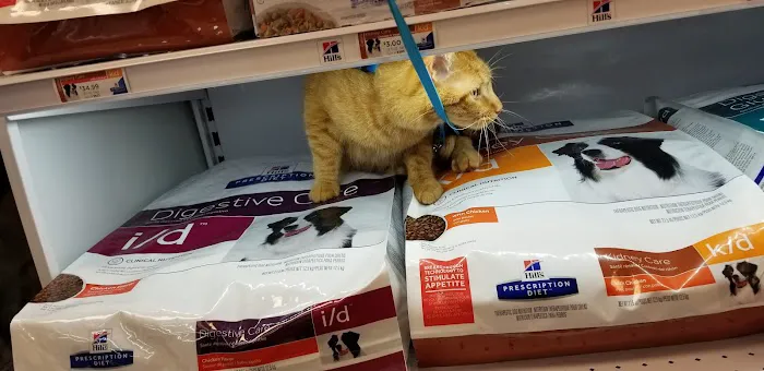 Ivan Animal Hospital 12