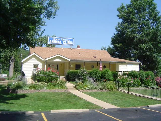House Springs Animal Clinic 3
