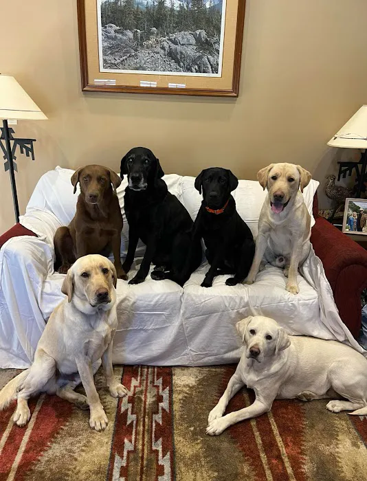 Eureka Family Pet Hospital 12