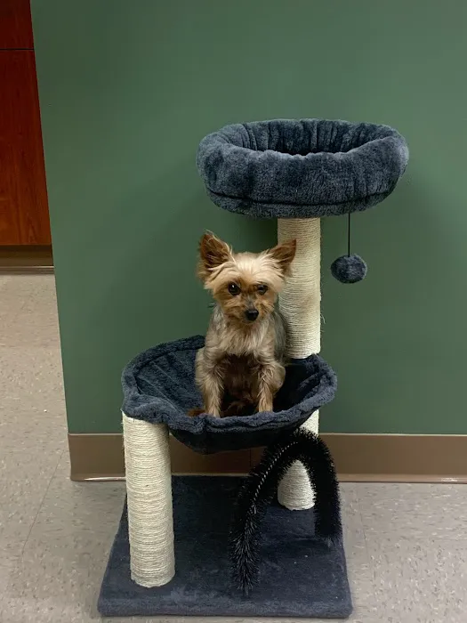 Eureka Family Pet Hospital 12