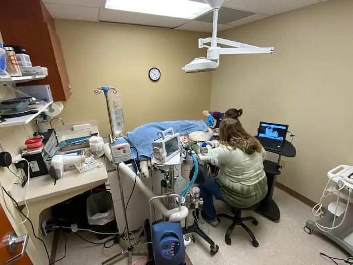 Eureka Family Pet Hospital 12