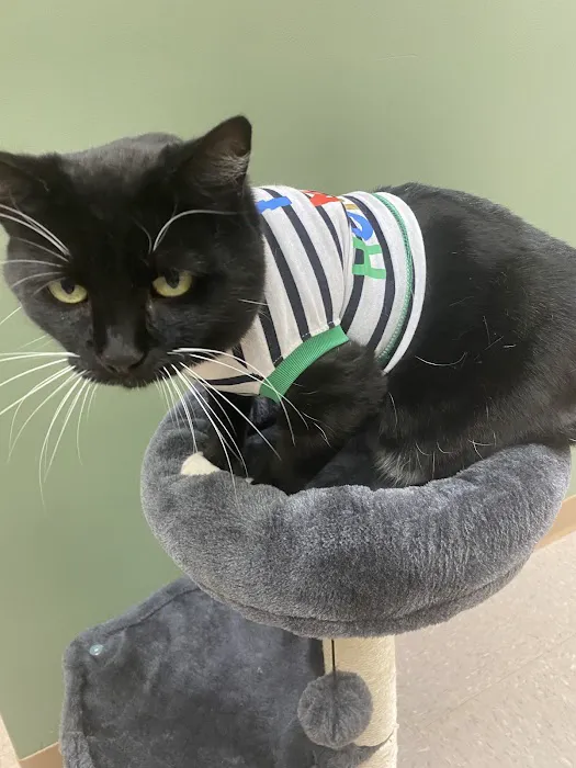 Eureka Family Pet Hospital 12