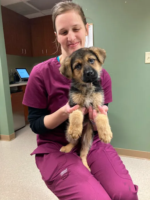 Eureka Family Pet Hospital 12