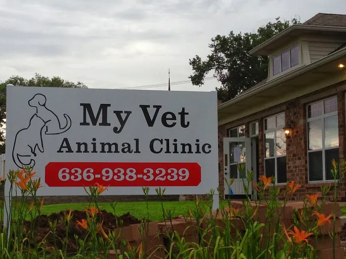 My Vet Animal Clinic 12