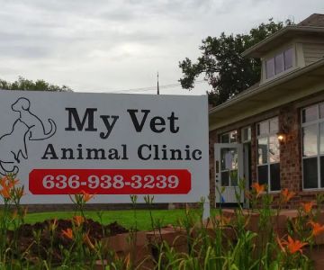 My Vet Animal Clinic