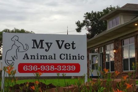 My Vet Animal Clinic