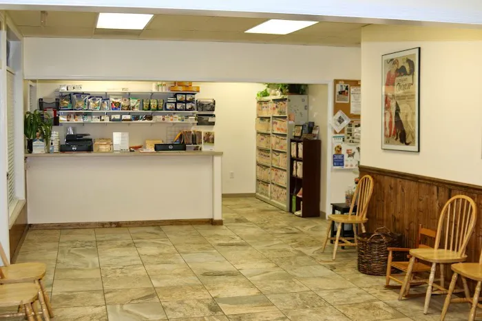 My Vet Animal Clinic 12