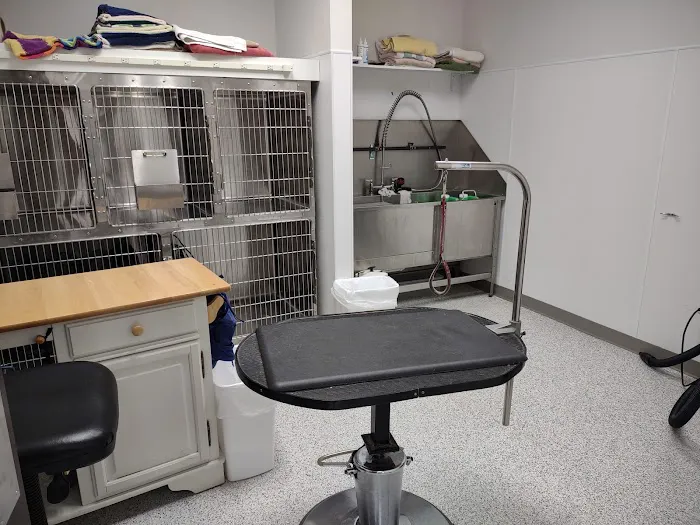 Yorkshire Animal Hospital 1