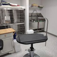 Yorkshire Animal Hospital ico
