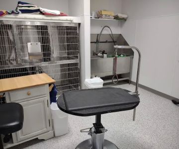 Yorkshire Animal Hospital