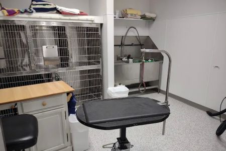 Yorkshire Animal Hospital