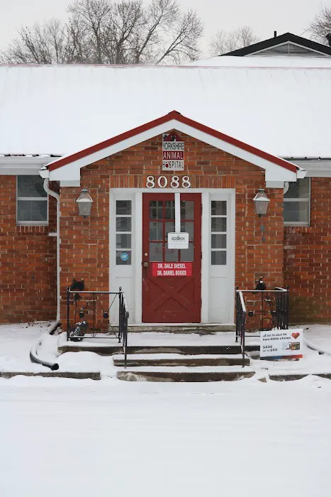 Yorkshire Animal Hospital 5