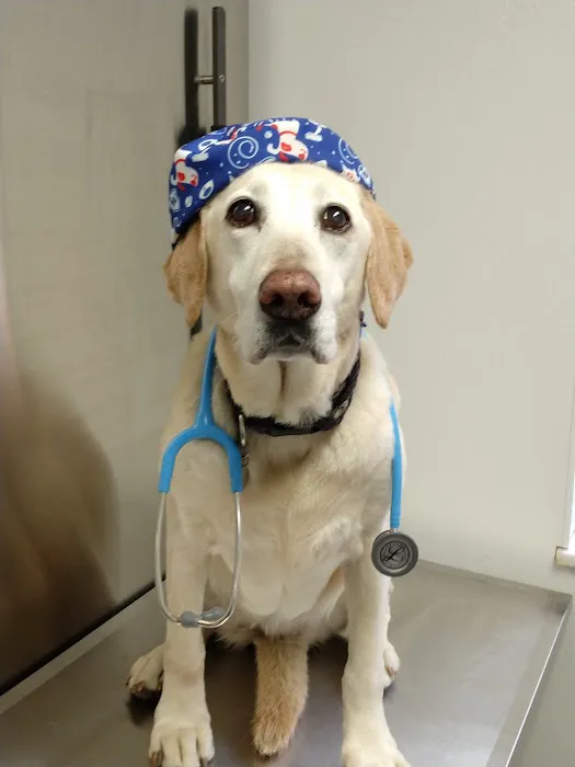 Yorkshire Animal Hospital 4