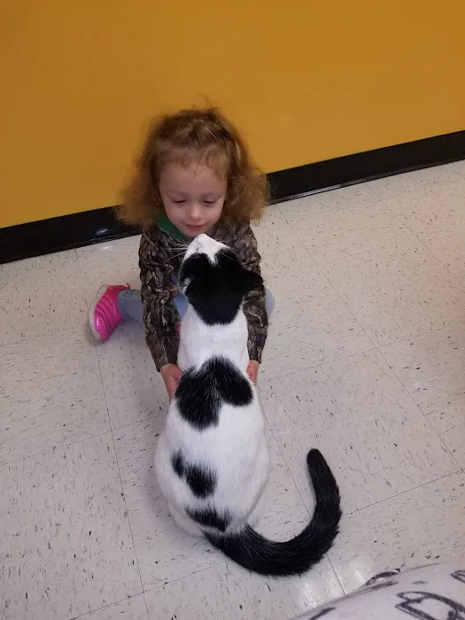 Banfield Pet Hospital 12