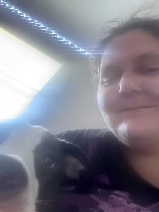 South County Veterinary Office 7