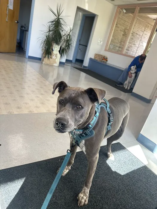 Southwick Veterinary Hospital 12