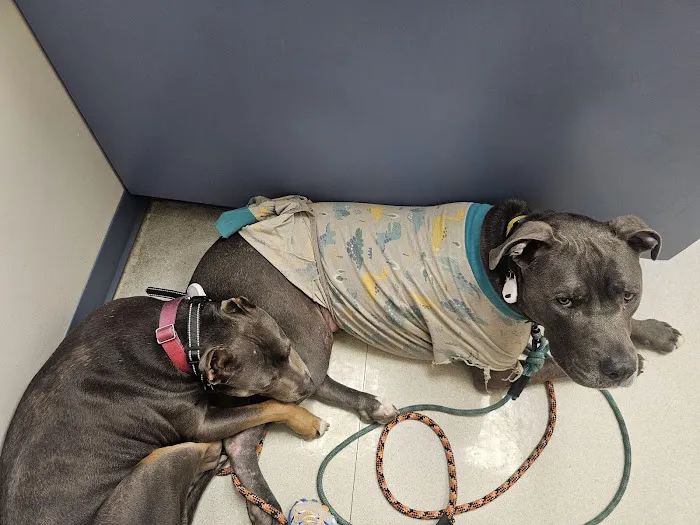 Southwick Veterinary Hospital 12