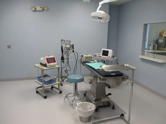 Southwick Veterinary Hospital 12