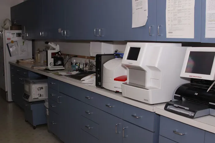 Southwick Veterinary Hospital 12
