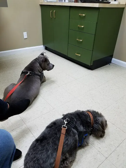 Affton Veterinary Clinic 9