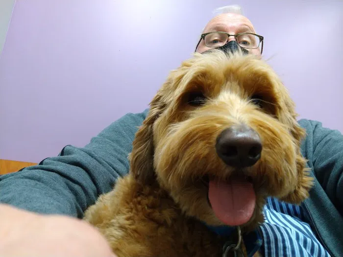 Brentwood Animal Hospital 2