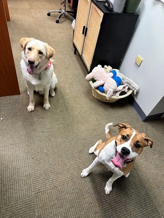 Brentwood Animal Hospital 1