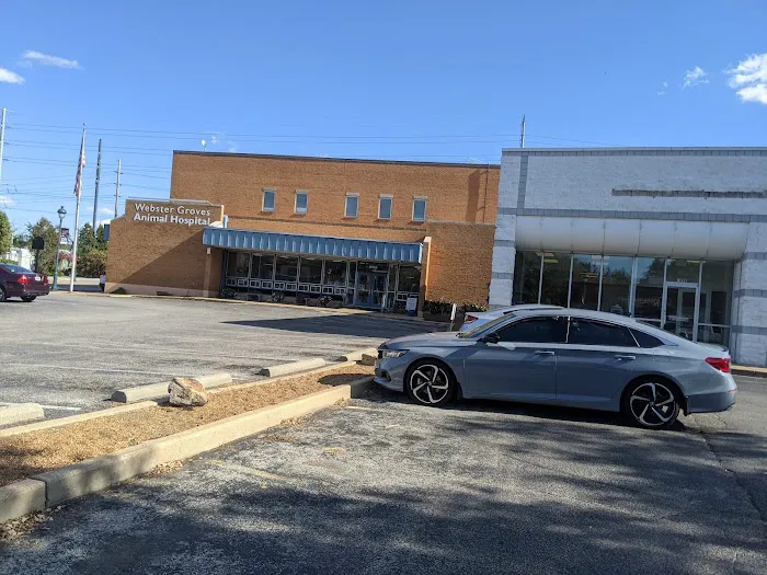 Webster Groves Animal Hospital: Jones Christen DVM 1