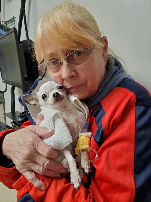Webster Groves Animal Hospital: Kaufman Kathryn DVM 4