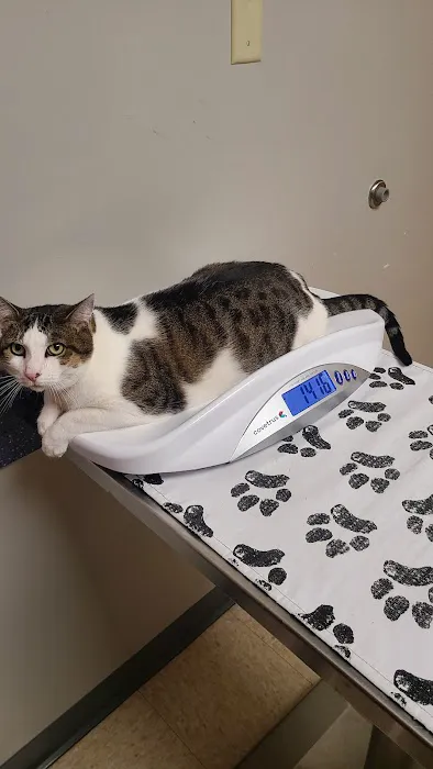 Webster Groves Animal Hospital: Kaufman Kathryn DVM 1