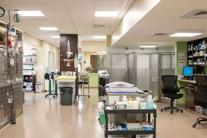 Newberry Animal Emergency Center 1
