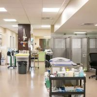 Newberry Animal Emergency Center ico