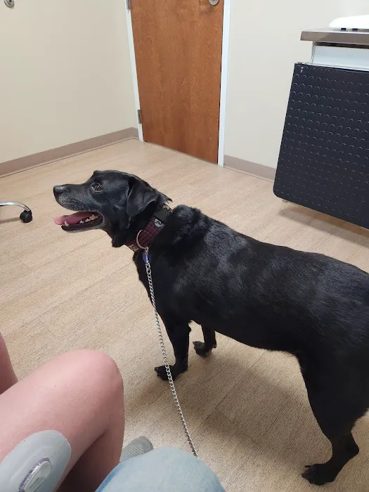 Newberry Animal Emergency Center 8