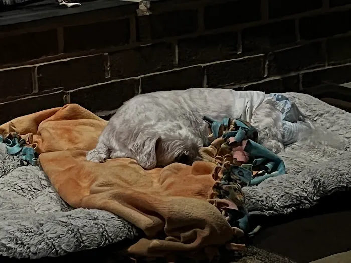 Peaceful Pet Passage 3
