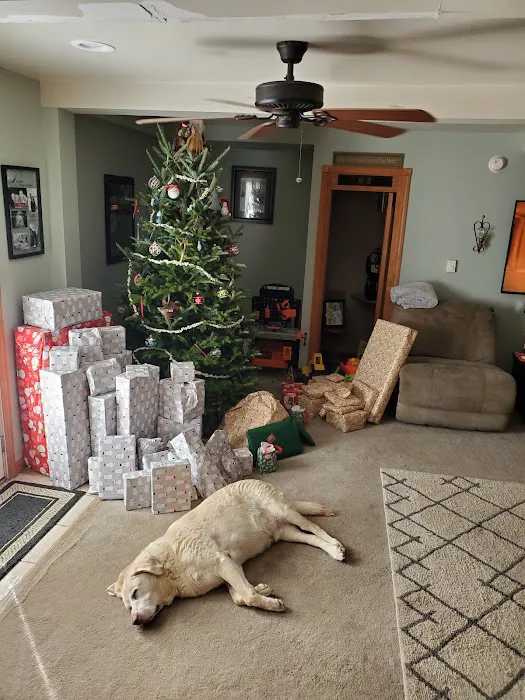 Peaceful Pet Passage 9