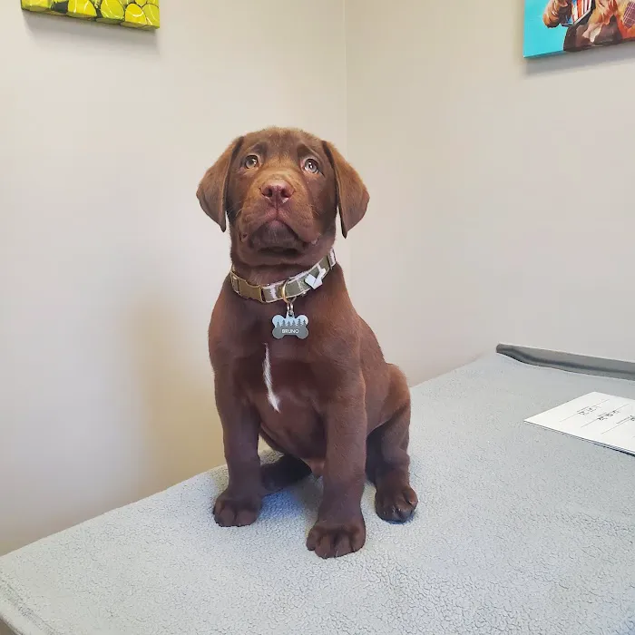 Countryside Animal Clinic - Kurt Krusen DVM 12