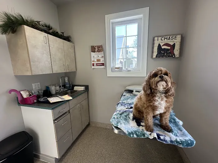 Countryside Animal Clinic - Kurt Krusen DVM 12