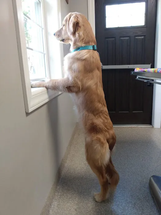 Countryside Animal Clinic - Kurt Krusen DVM 12