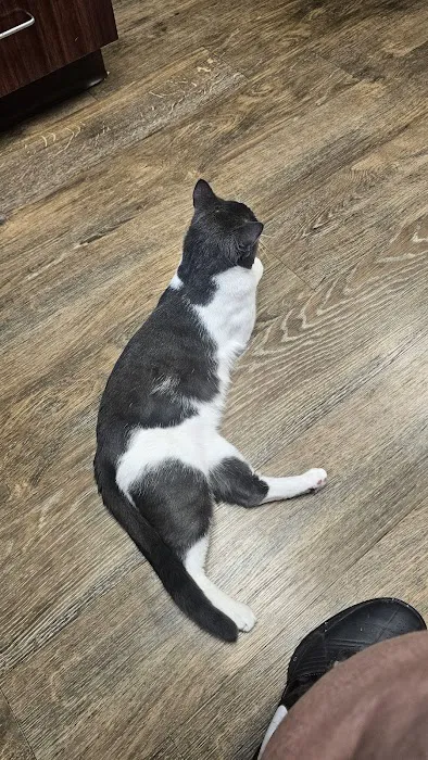 Valley Road Animal Hospital 2
