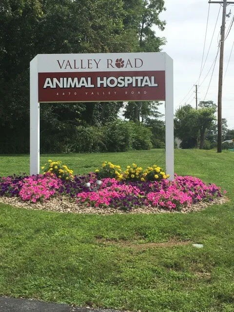 Valley Road Animal Hospital 3