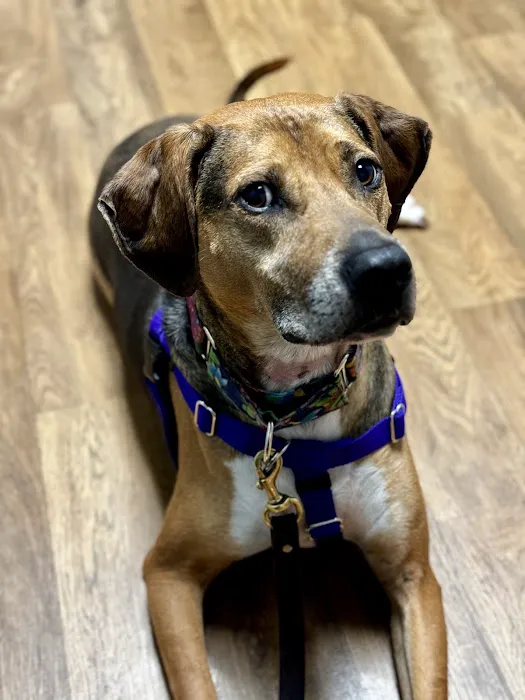 Lambs Gap Animal Hospital 8