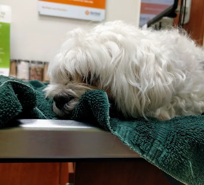 Banfield Pet Hospital 6